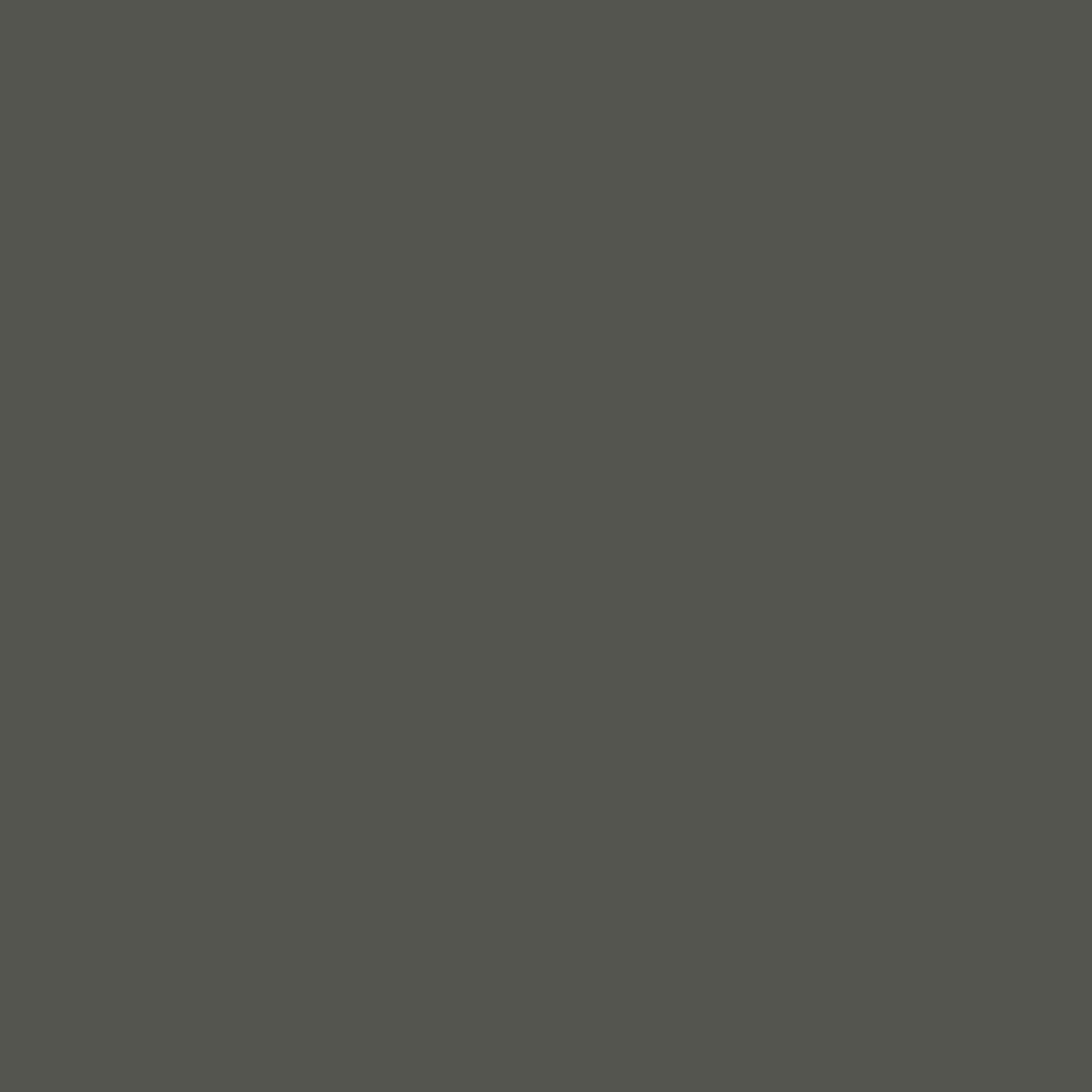 Coats Seta Reale 30 Pure Silk Thread 20m - Shade 0519