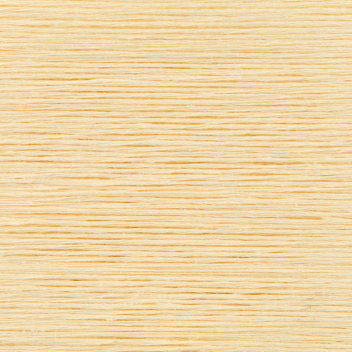 Card of Anchor linen embroidery thread in Buttermilk