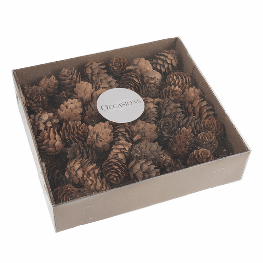 Small Natural Pinecones (Pack of 100)