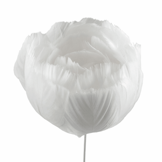 White Feather Flower on Stem