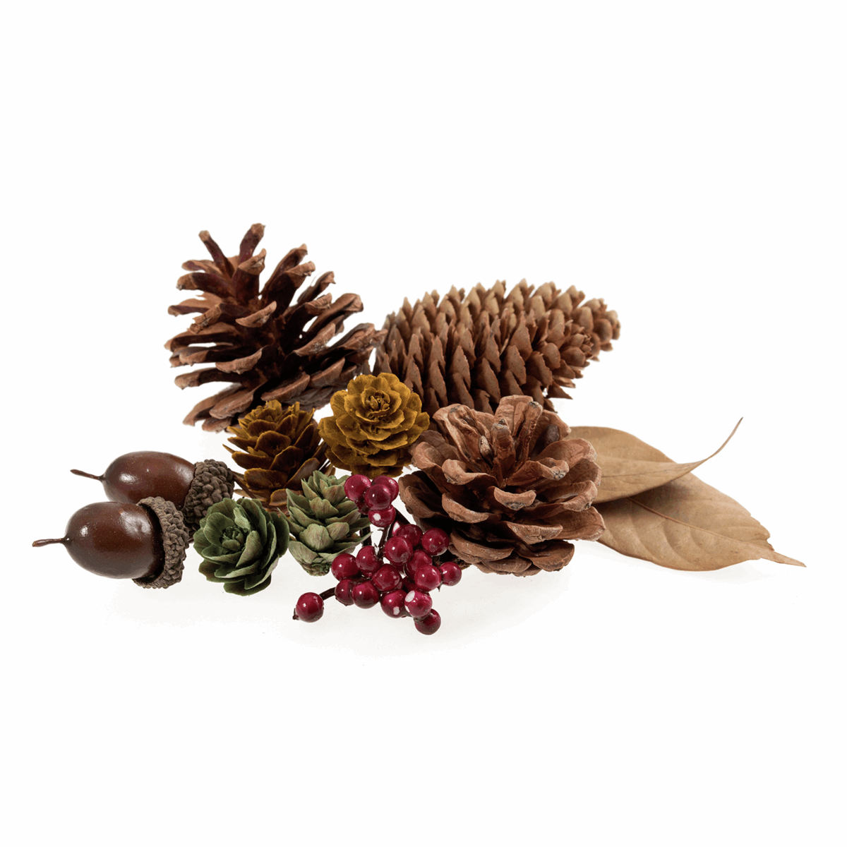 Natural Acorn Mix Bag - 45g (Pack of 11)