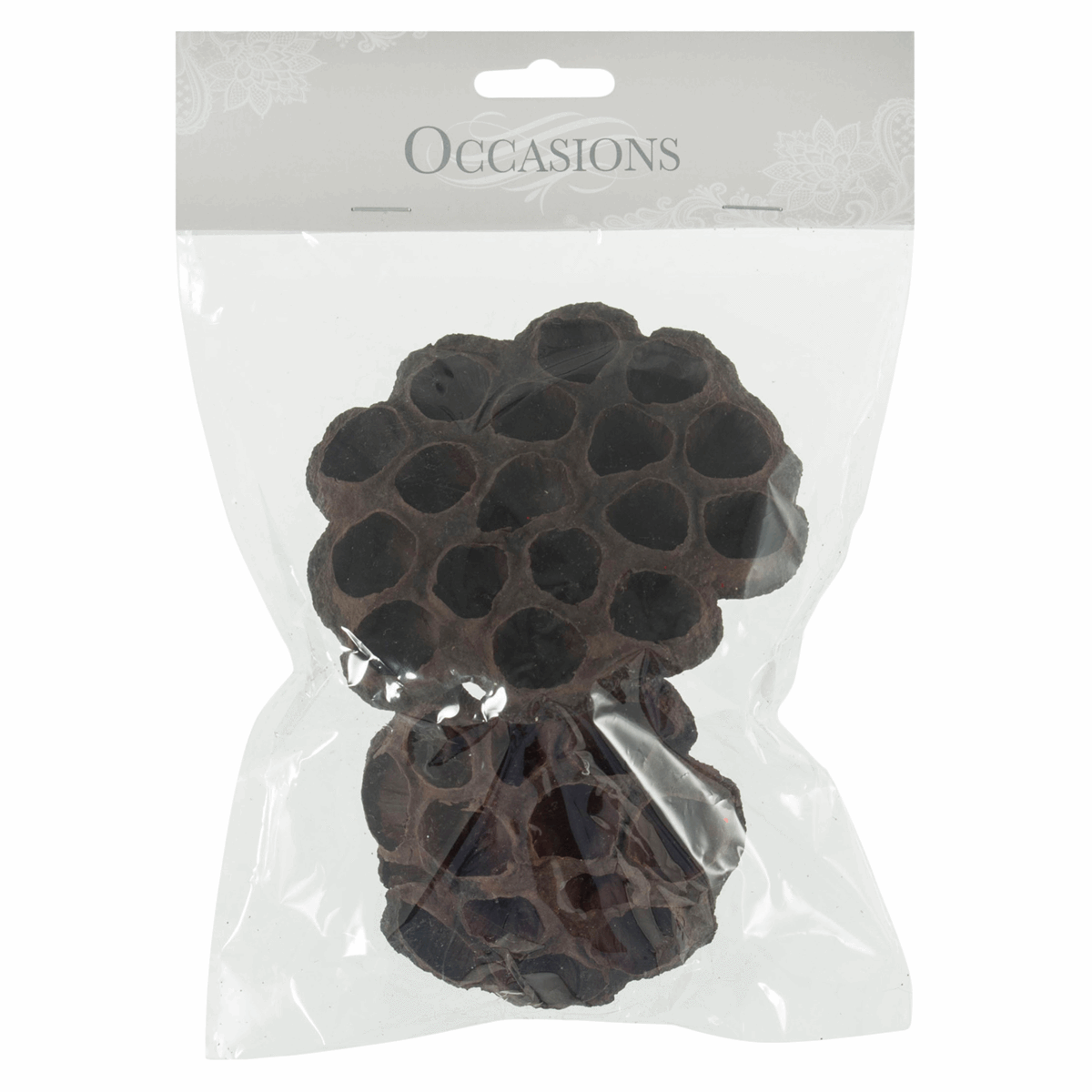 Dried Lotus Flower Heads - 8-10cm (Pack of 2)