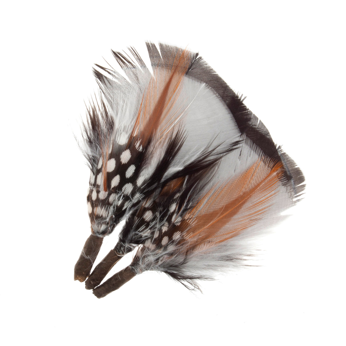 Three short coloured feather plumes