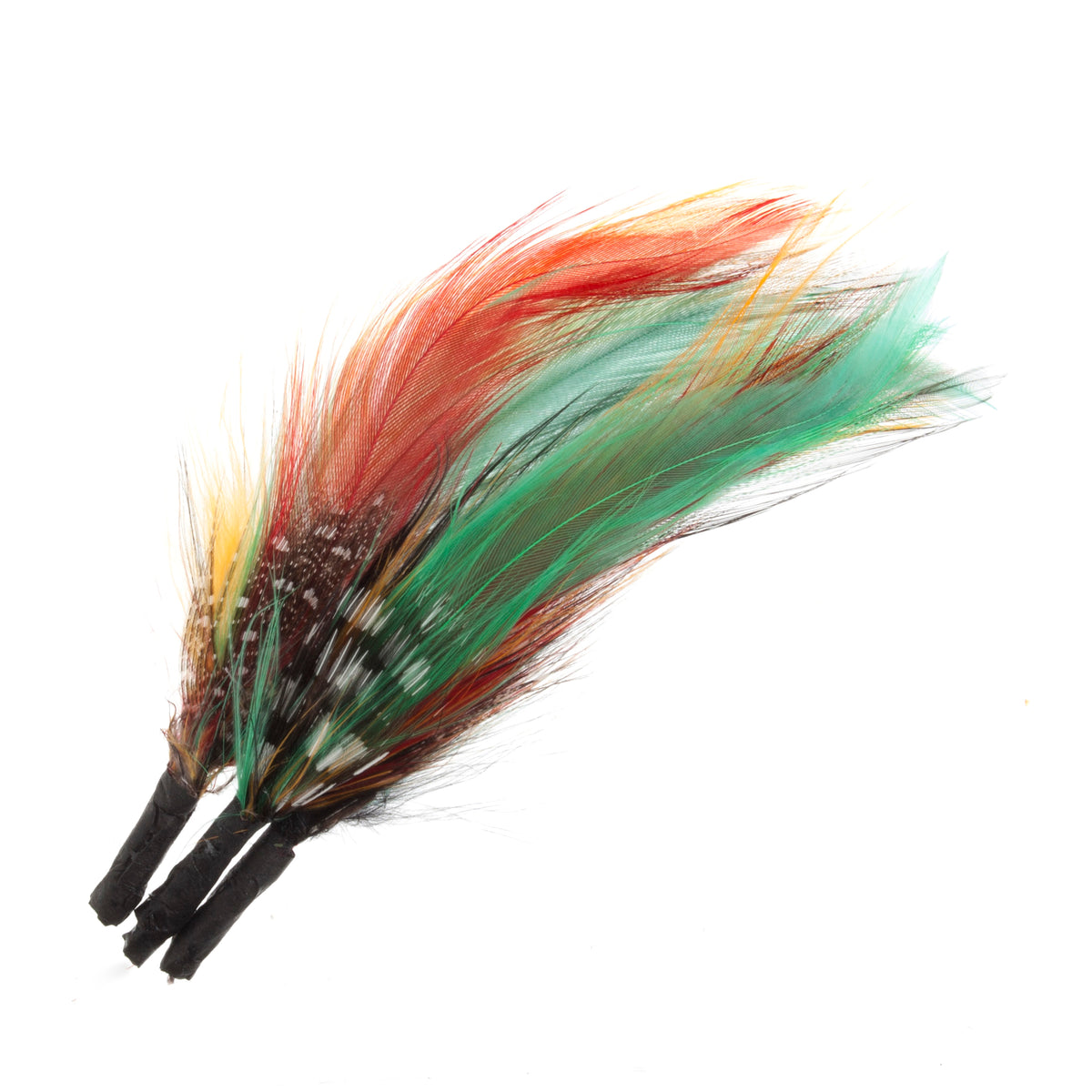 Three long coloured feather plumes