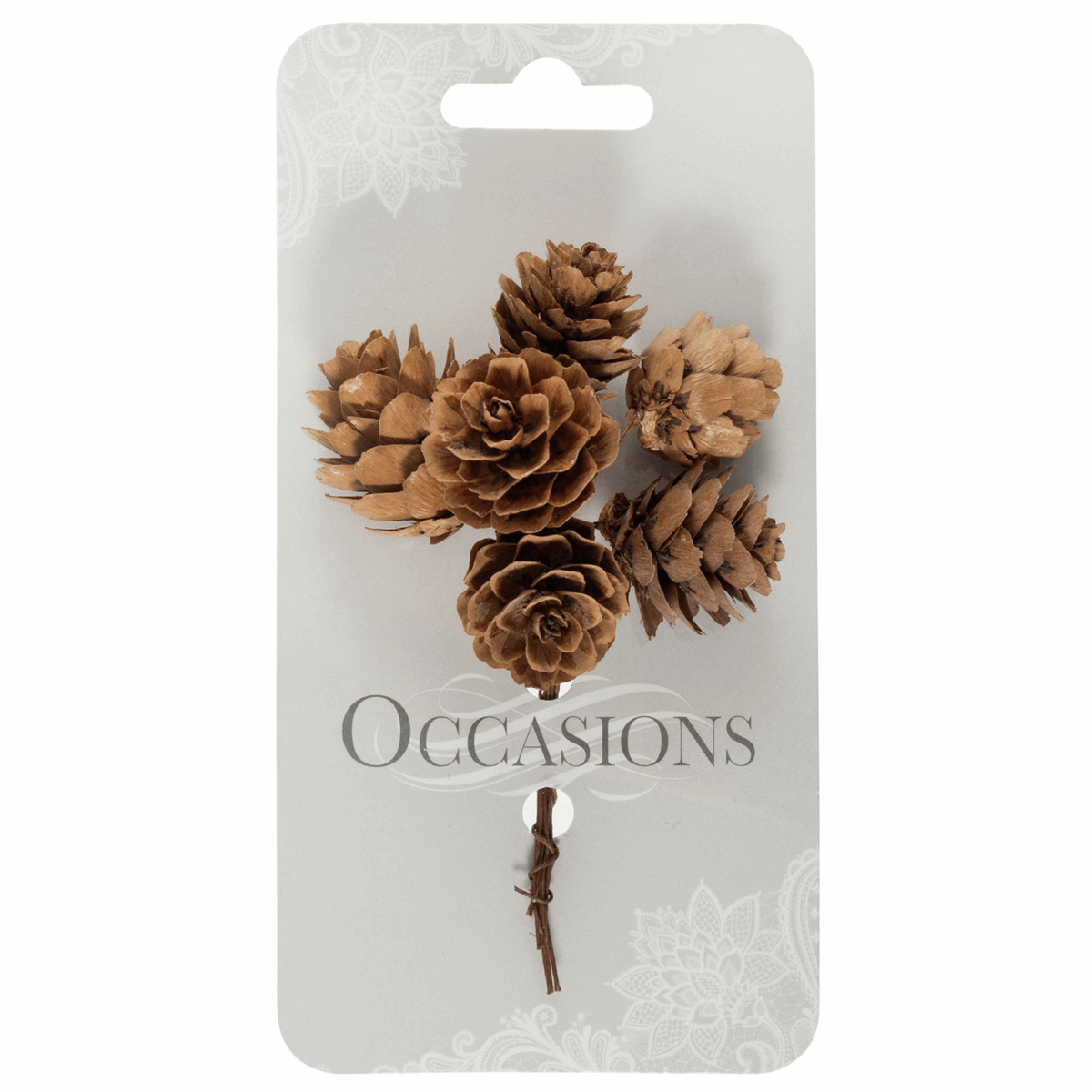 Natural Pinecone Stems on Wire (Pack of 6 Stems)
