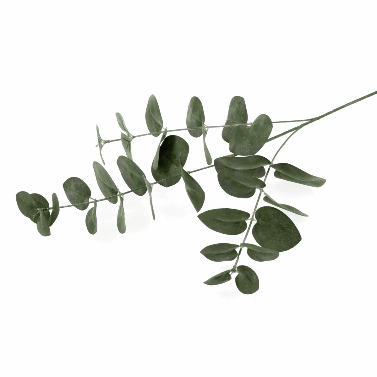 Artificial Dark Green & Black Eucalyptus Leaves - 60cm (Single Stem)