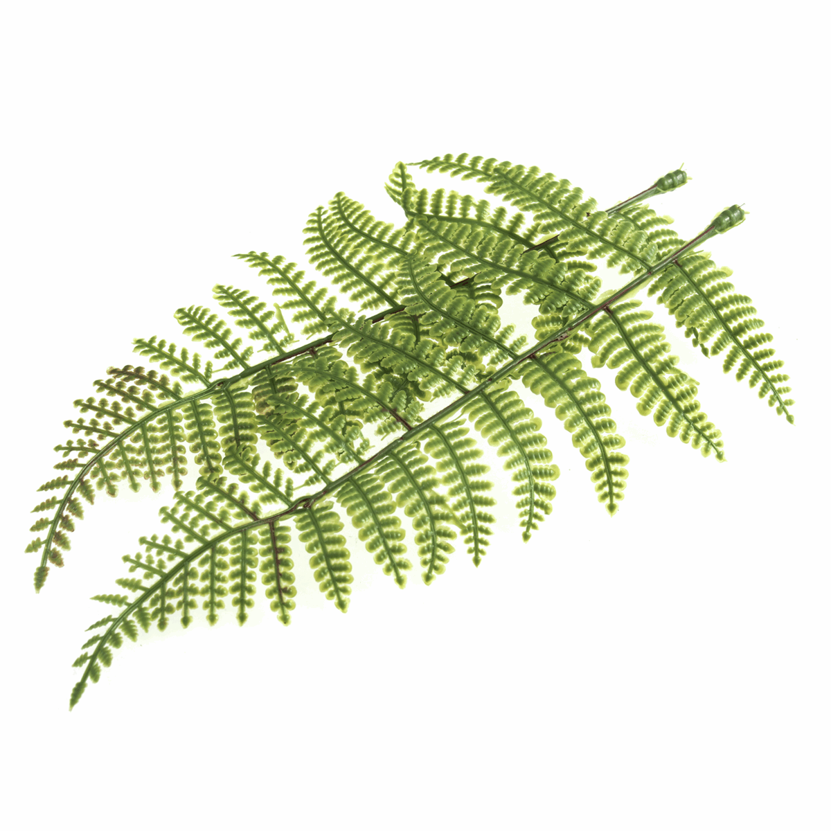 Artificial Fern Leaves - 8cm (Pack of 2)
