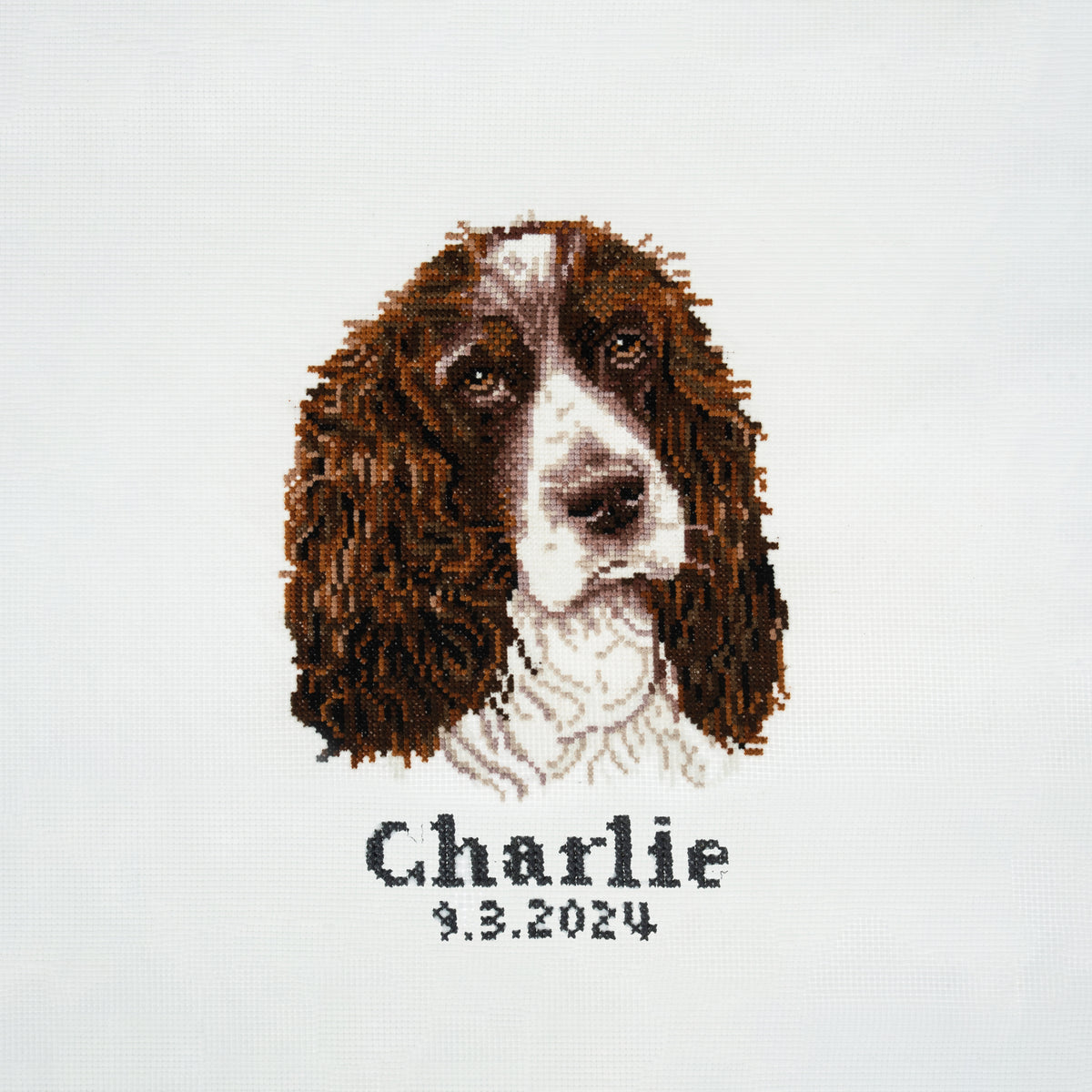 Finished springer spaniel counted cross stitch design