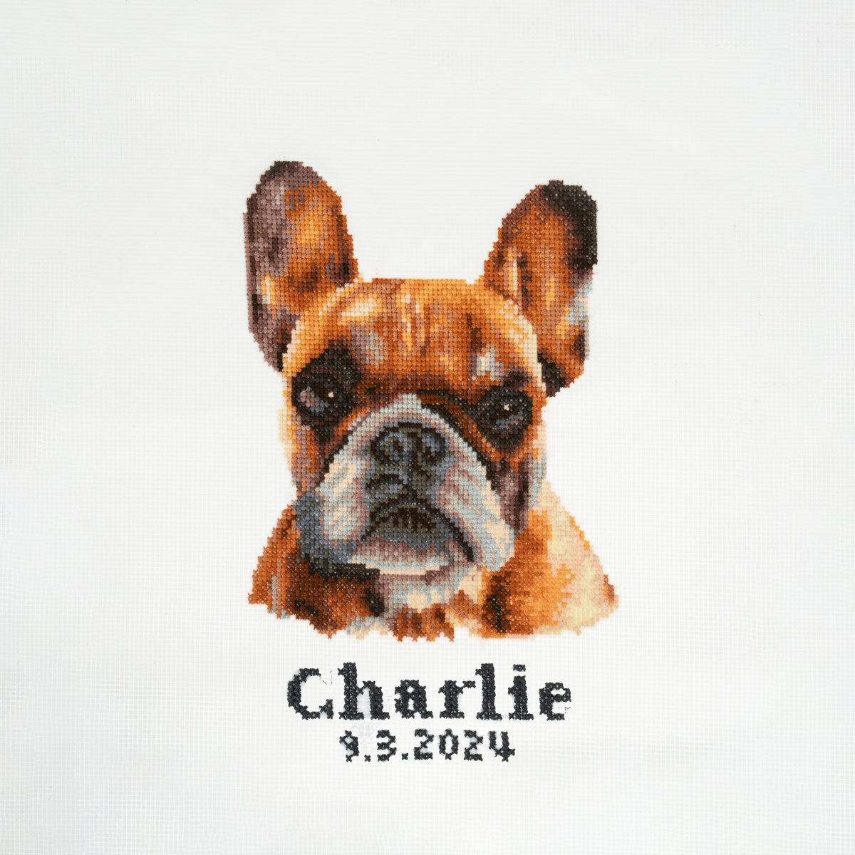 Finished french bulldog counted cross stitch design