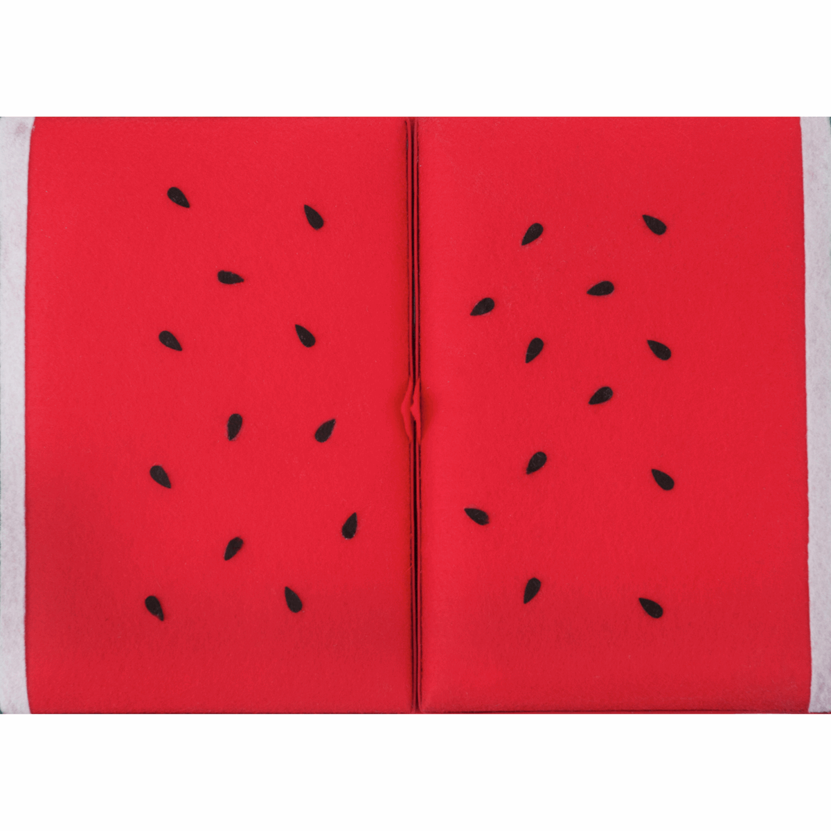 Watermelon Sewing Box