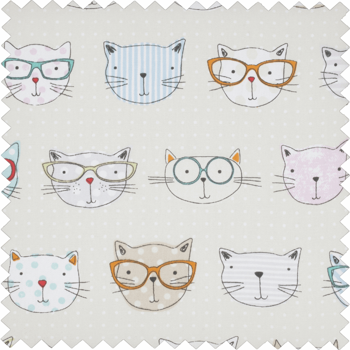 Craft Tote Bag - Cool Cats