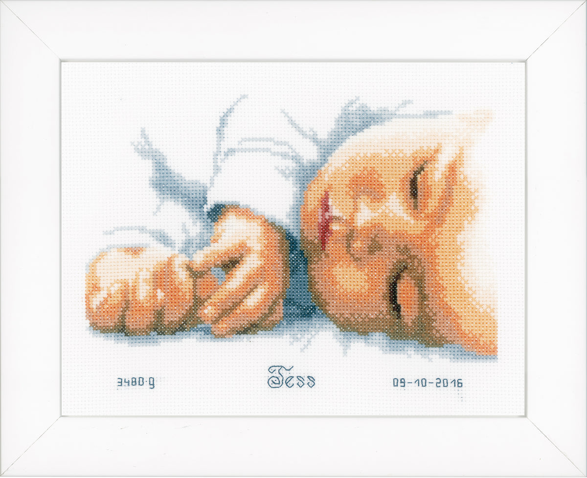 Framed cross stitch birth record for a newborn baby