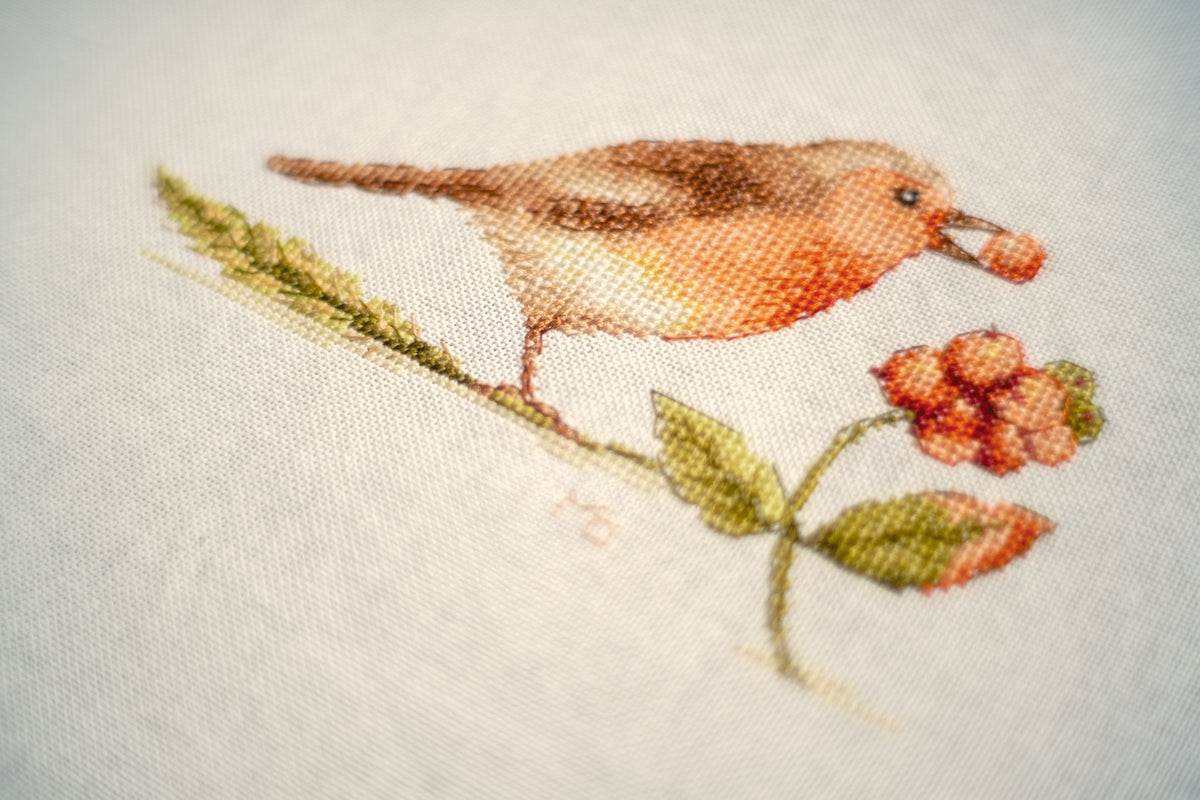 Counted cross stitch picture of Robin