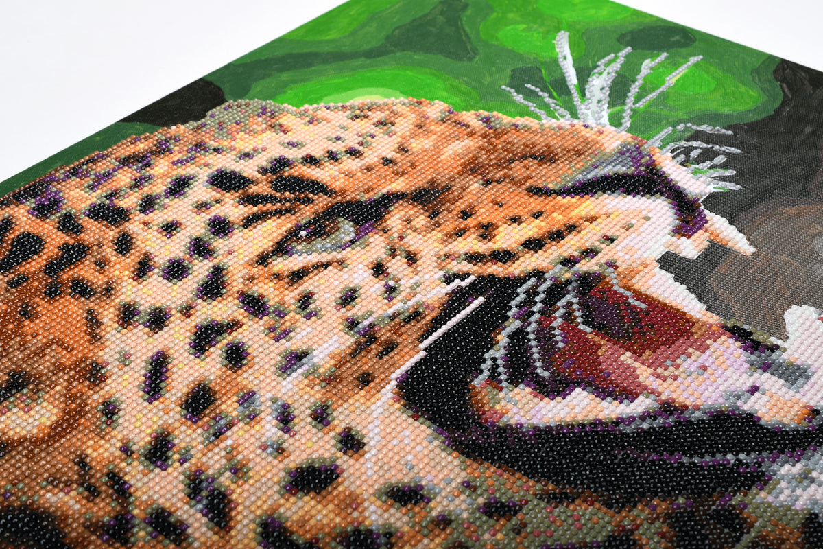 Leopard paint by numbers and diamond painting picture