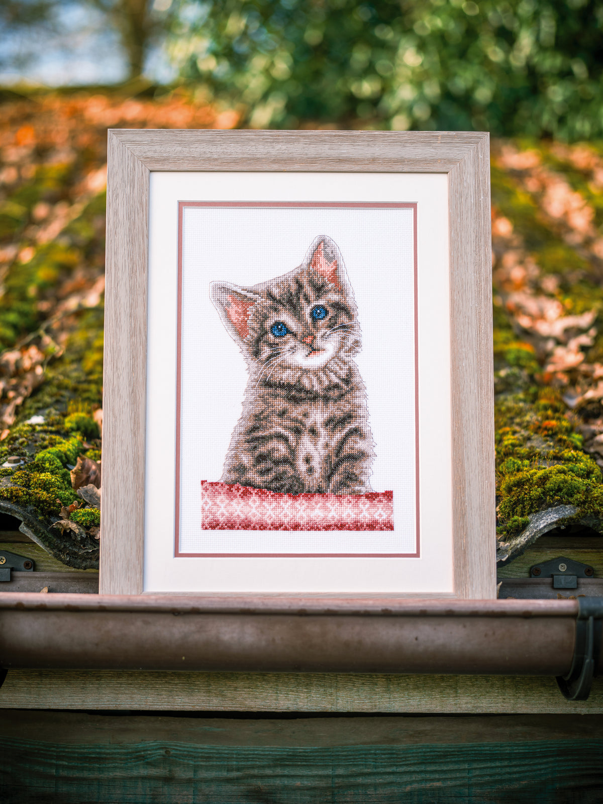Cross stitch picture of a cat