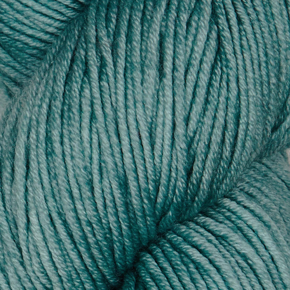 Skein of Symfonie Viva DK merino yarn in Sage