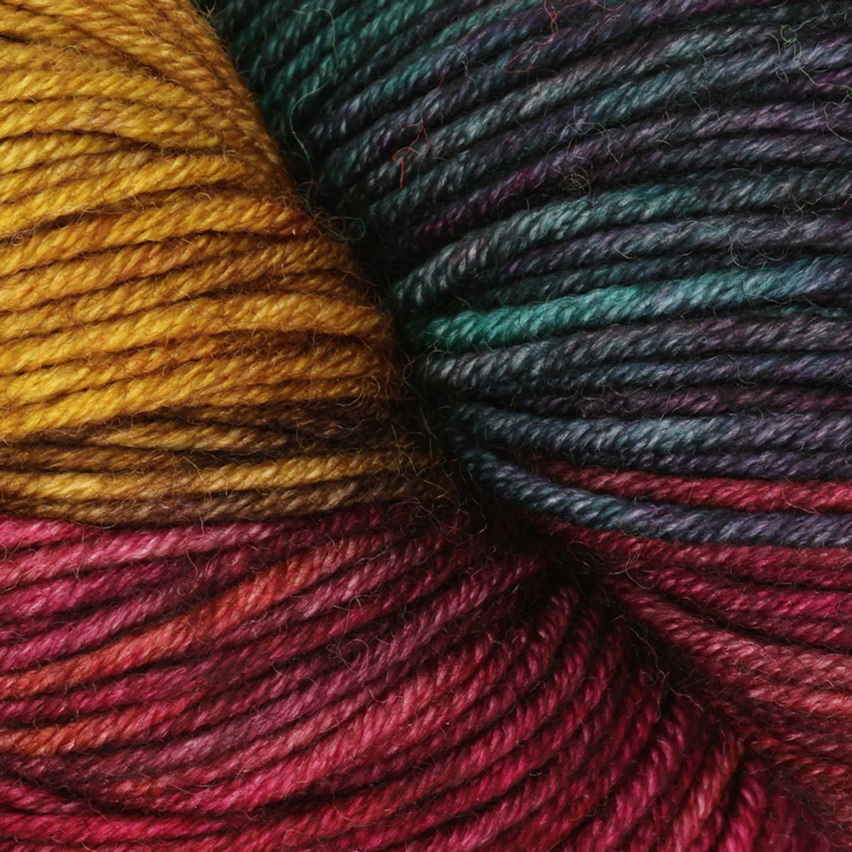 Skein of Symfonie Viva DK merino yarn in Harvest Vine