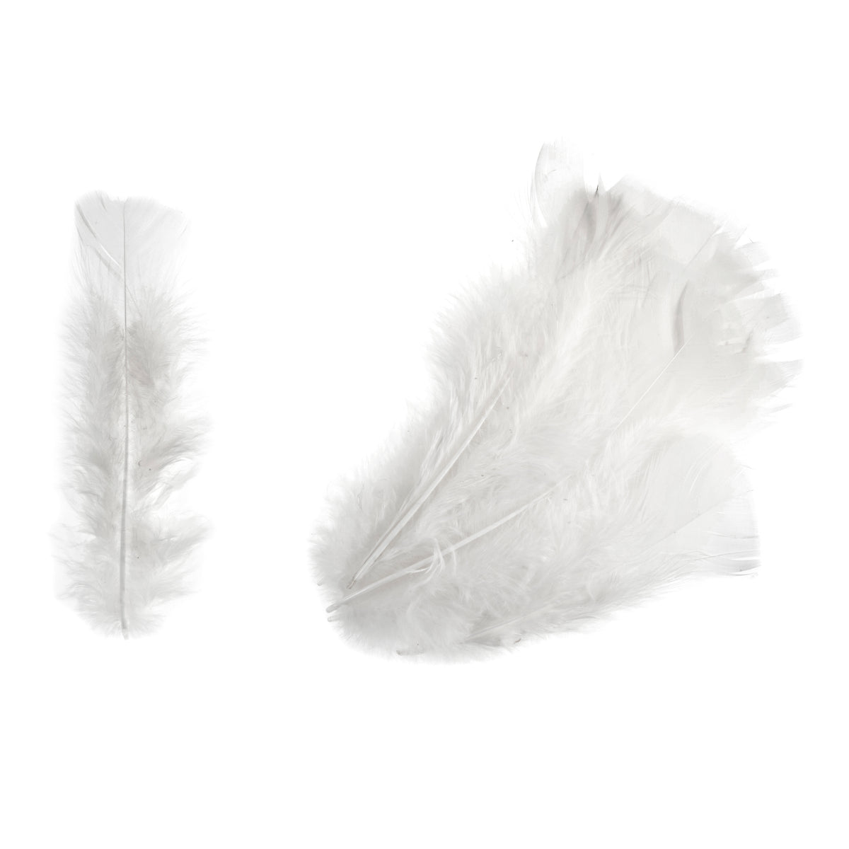 Pack of white turkey feathers