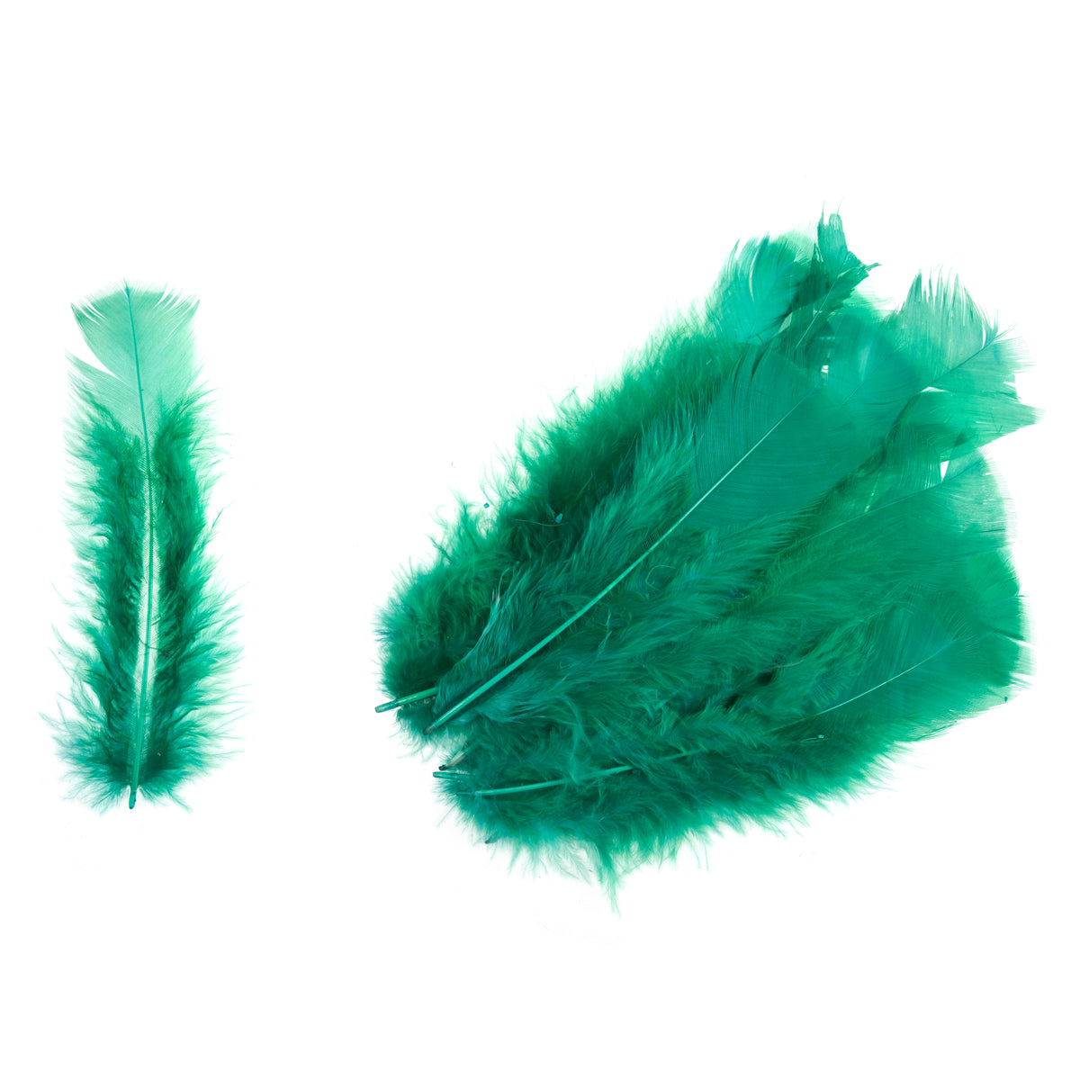 Pack of green turkey feathers by Trimits