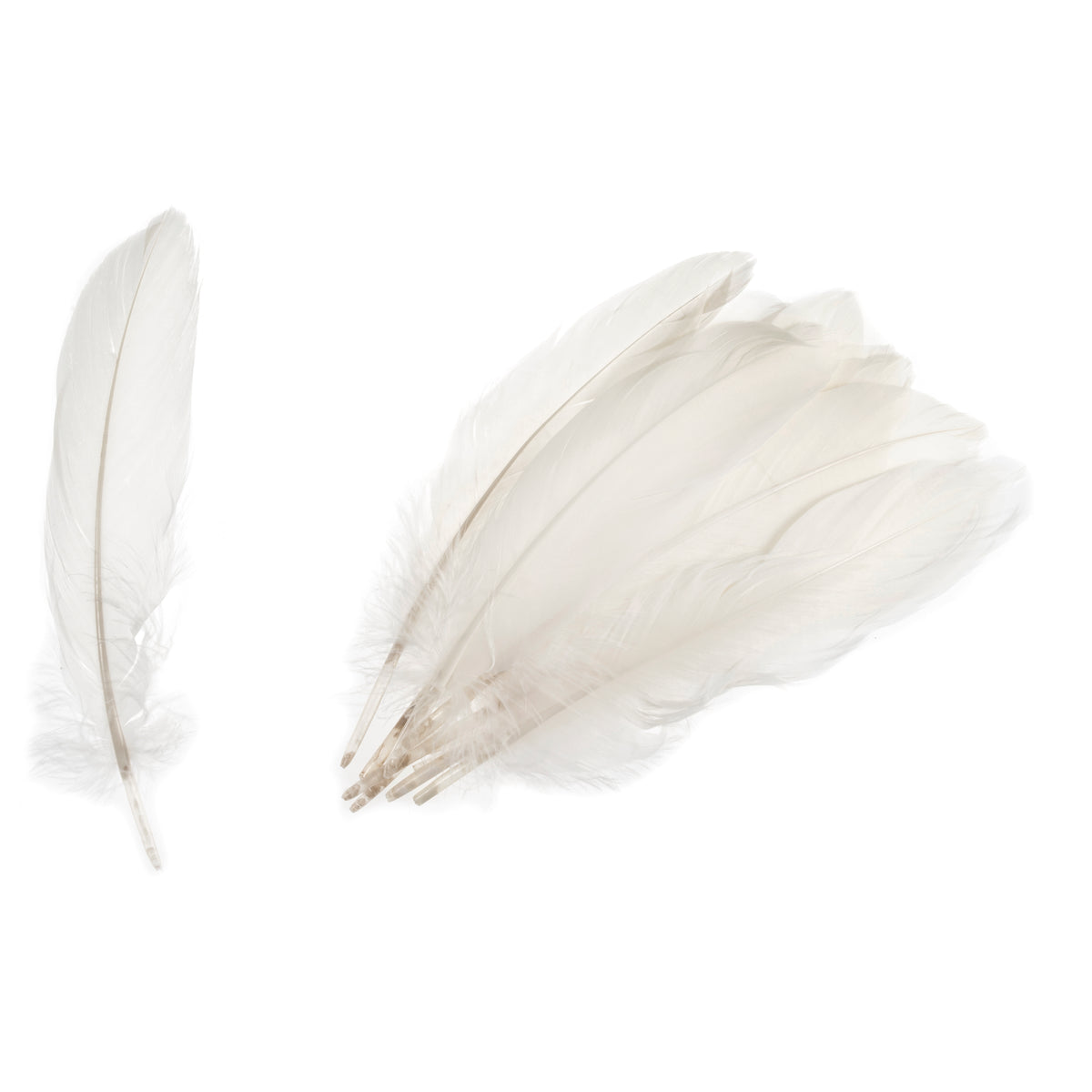 Pack of white goose feathers by Trimits