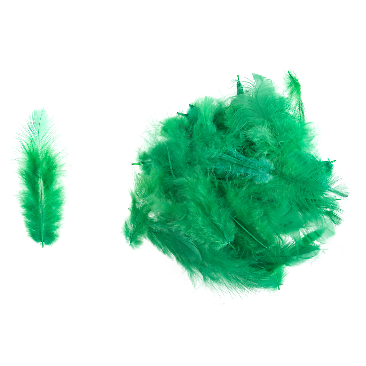 Green dyed hen feathers in a clear pack
