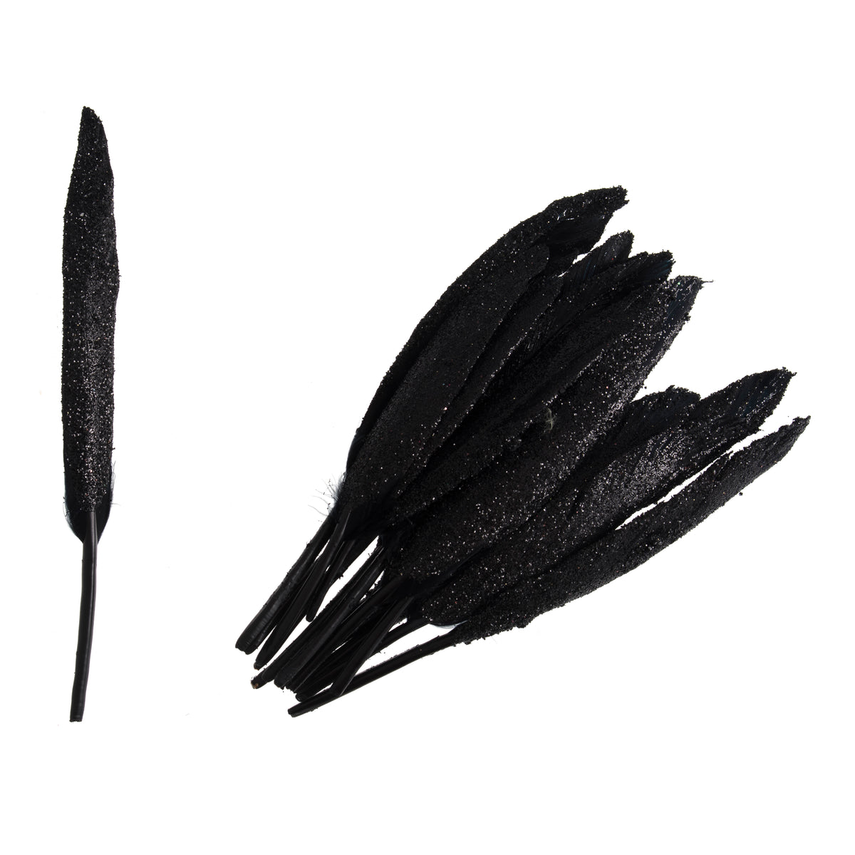 Black glitter duck feathers in a pack