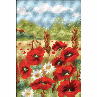 Tapestry & Long Stitch