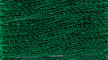 Skein of Anchor Lame green metallic thread