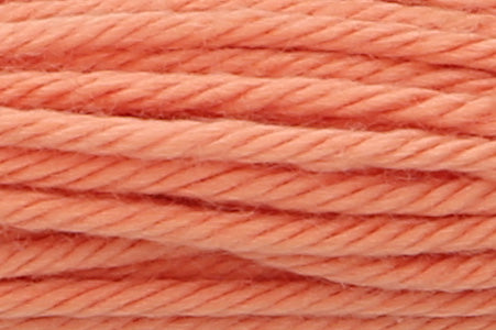 Anchor Soft Cotton Embroidery Thread 10m Skein - Shade 0337