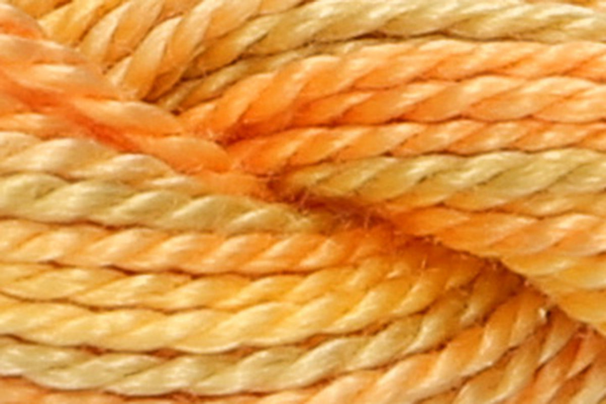 Anchor Pearl Cotton No.5 Multicolour Embroidery Thread 5g Skein - Shade 1305