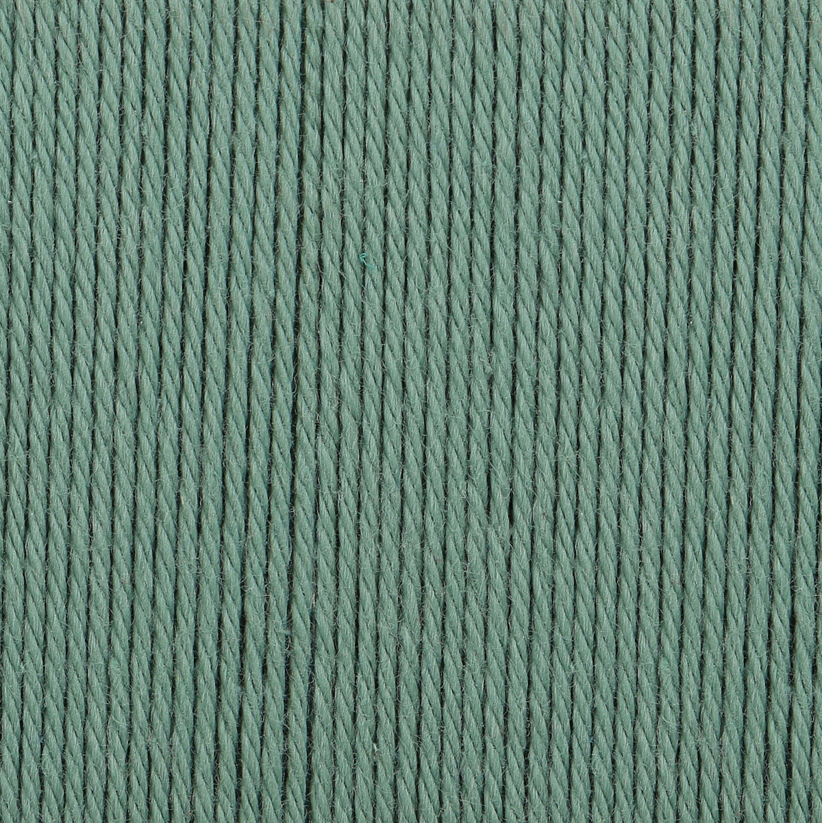 Ball of emerald lake Anchor Organic Cotton yarn