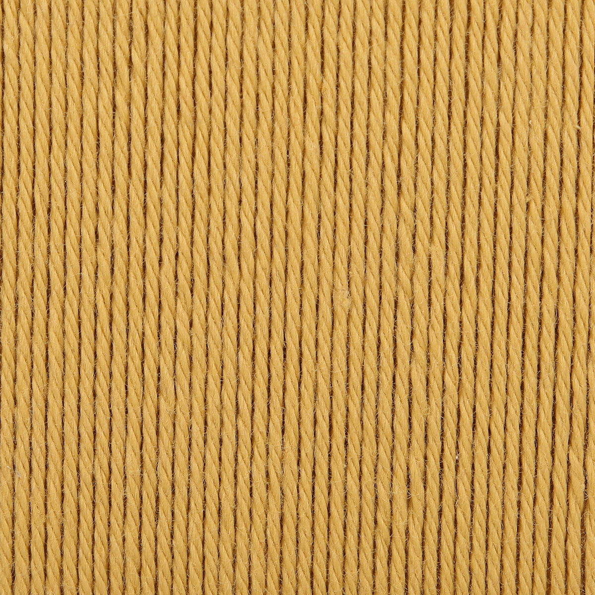 Ball of sunflower Anchor Organic Cotton yarn