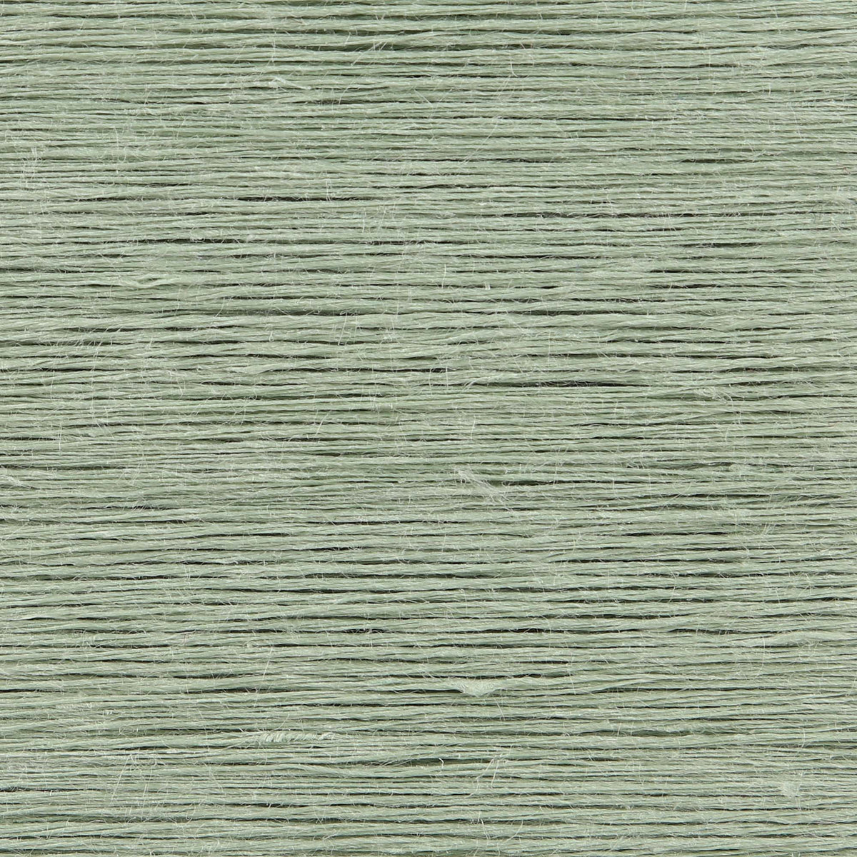 Card of Anchor linen embroidery thread in Aloe