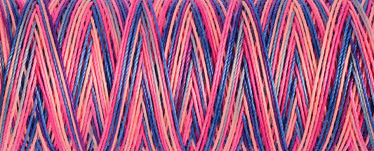 Gutermann Deco Stitch 70 Multicolour Thread 70m - Shade 9819