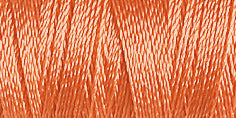 Gutermann Sulky Rayon 40 Machine Embroidery Thread 200m - Shade 1019