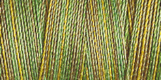 Gutermann Sulky Cotton 30 Variegated Machine Embroidery Thread 300m - Shade 4019