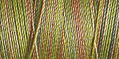 Gutermann Sulky Cotton 30 Variegated Machine Embroidery Thread 300m - Shade 4020
