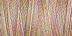 Gutermann Sulky Cotton 30 Variegated Machine Embroidery Thread 300m - Shade 4023
