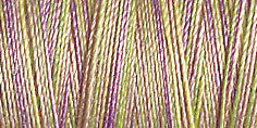 Gutermann Sulky Cotton 30 Variegated Machine Embroidery Thread 300m - Shade 4024