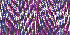 Gutermann Sulky Cotton 30 Variegated Machine Embroidery Thread 300m - Shade 4032