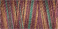 Gutermann Sulky Cotton 30 Variegated Machine Embroidery Thread 300m - Shade 4038