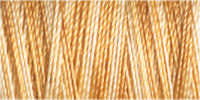 Gutermann Sulky Cotton 30 Variegated Machine Embroidery Thread 300m - Shade 4040