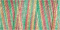 Gutermann Sulky Cotton 30 Variegated Machine Embroidery Thread 300m - Shade 4041