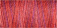 Gutermann Sulky Cotton 30 Variegated Machine Embroidery Thread 300m - Shade 4042