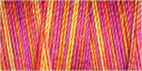 Gutermann Sulky Cotton 30 Variegated Machine Embroidery Thread 300m - Shade 4043