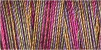Gutermann Sulky Cotton 30 Variegated Machine Embroidery Thread 300m - Shade 4045