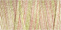 Gutermann Sulky Cotton 30 Variegated Machine Embroidery Thread 300m - Shade 4048