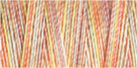 Gutermann Sulky Cotton 30 Variegated Machine Embroidery Thread 300m - Shade 4049