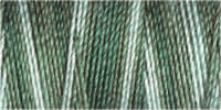 Gutermann Sulky Cotton 30 Variegated Machine Embroidery Thread 300m - Shade 4050