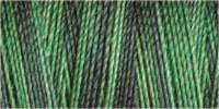 Gutermann Sulky Cotton 30 Variegated Machine Embroidery Thread 300m - Shade 4051